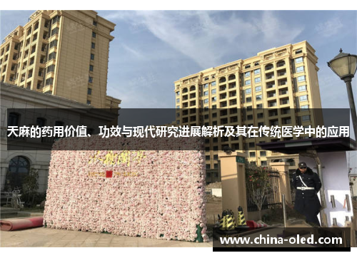 天麻的药用价值、功效与现代研究进展解析及其在传统医学中的应用
