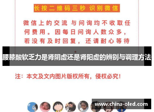 腰膝酸软乏力是肾阴虚还是肾阳虚的辨别与调理方法