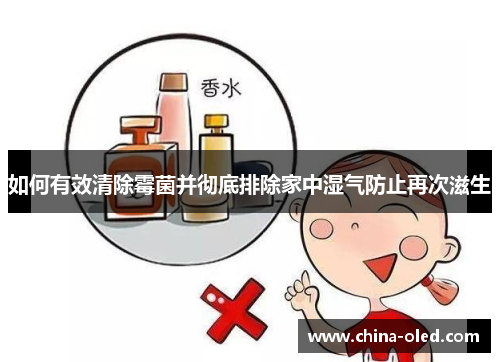 如何有效清除霉菌并彻底排除家中湿气防止再次滋生