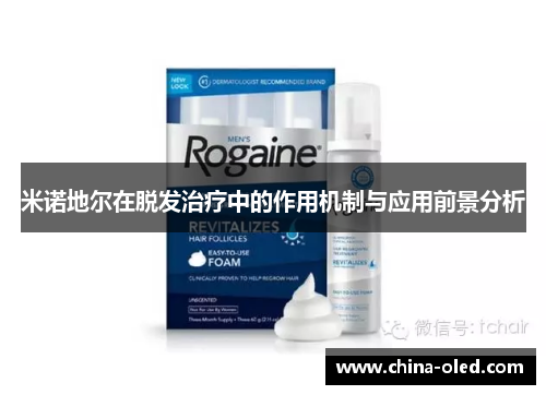 米诺地尔在脱发治疗中的作用机制与应用前景分析