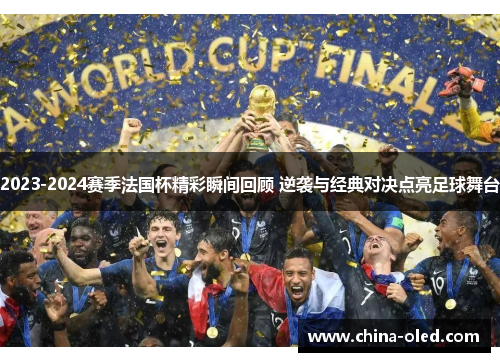 2023-2024赛季法国杯精彩瞬间回顾 逆袭与经典对决点亮足球舞台